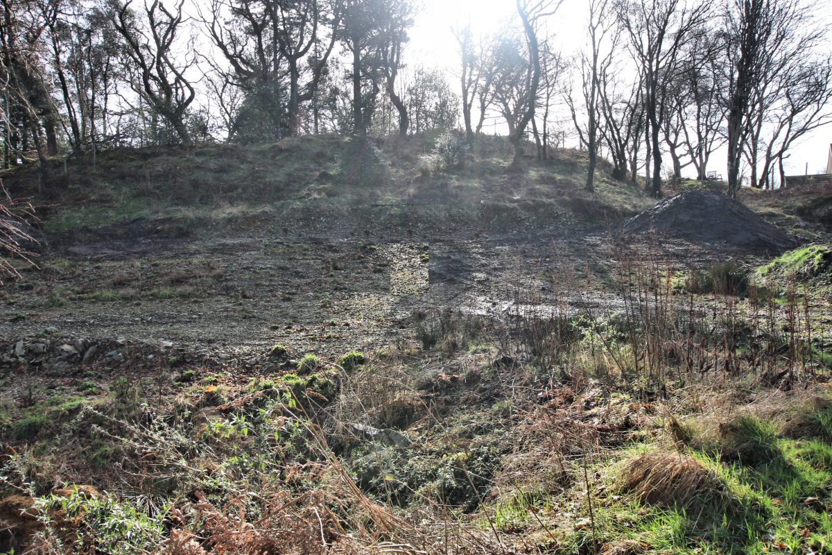 Plot 5 Bracken Wood, Gatehouse of Fleet Williamson and Henry
